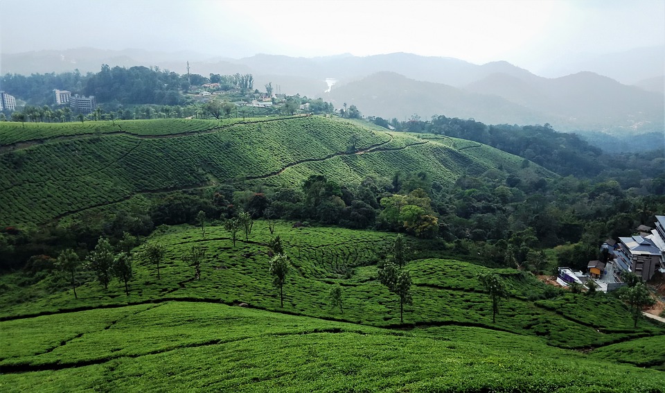 Munnar beautiful view Kerala India