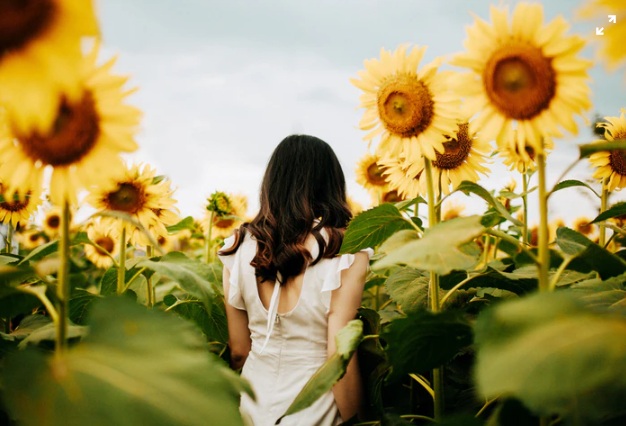 Girl Walking in Sunflower Field with broken heart