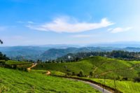 Munnar trip package