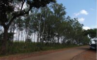 Places to visit in Mainpat Chhattisgarh
