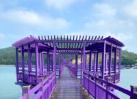 What special about Purple Island And Its Psychological Effect