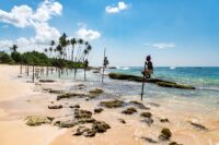 Visit Sri Lanka Tourism