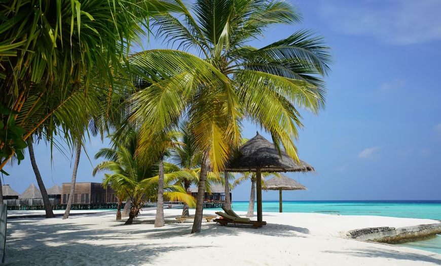 How to Plan Maldives Trip from India